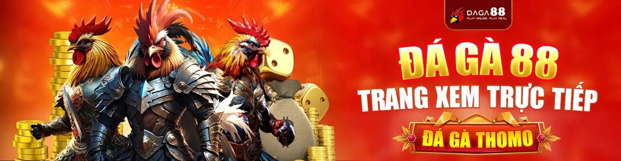 Đá gà trực tuyến Kingfun Link Mới 2026